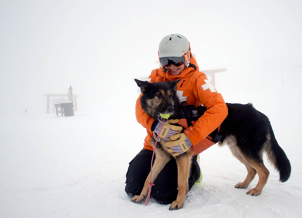 Avalanche rescue dogs save lives in Fernie - Fernie BC News