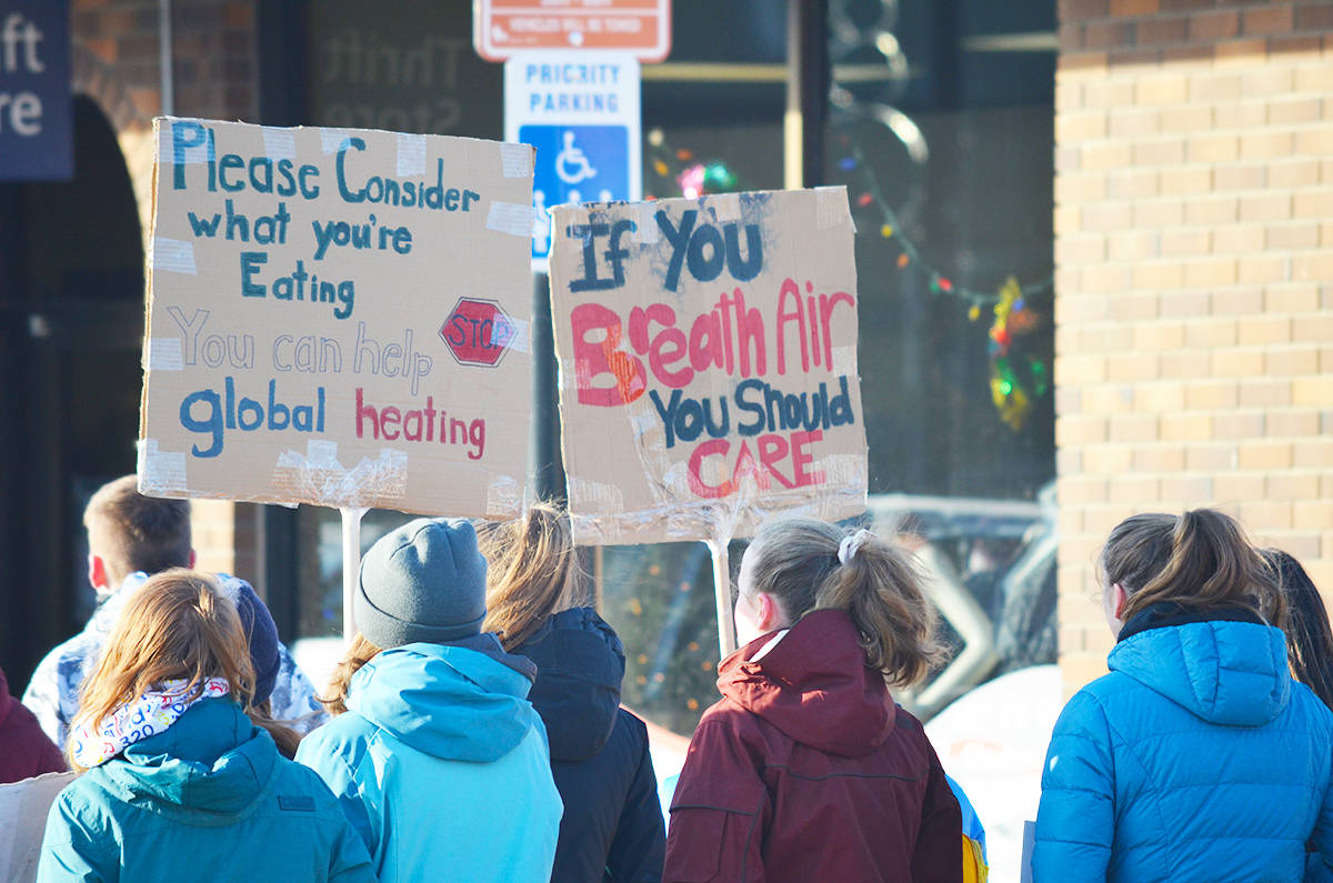 19613696_web1_Climate-Strike-Signs