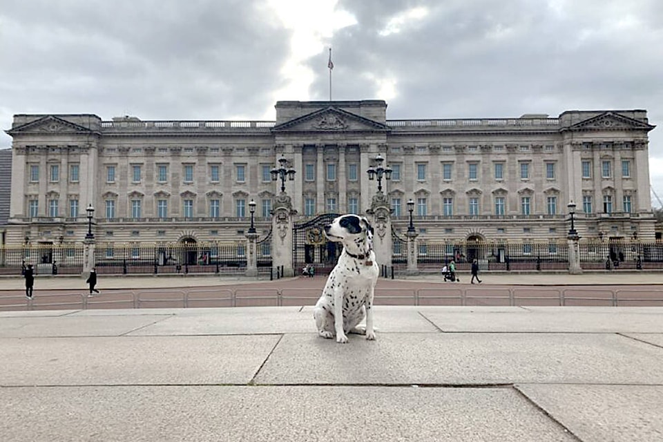 22597888_web1_TikaDalmatian-BuckinghamPalace