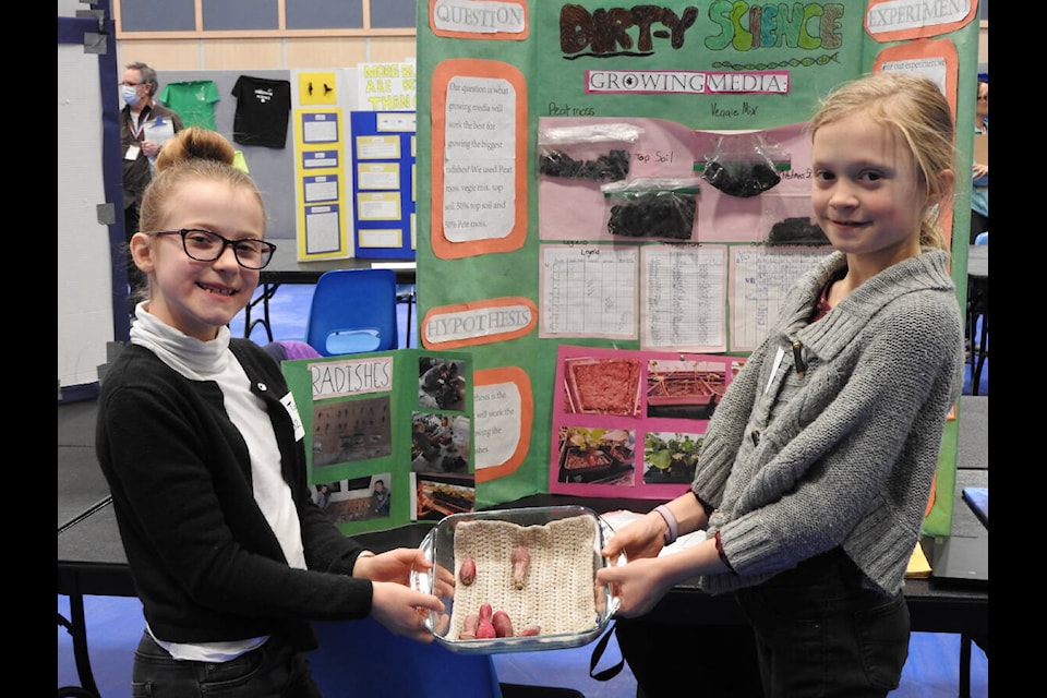 Thea, left, and Adelaide Troxel, right, grew radishes for their science fair project. They experimented with different types of soil to see which would produce the best produce. The girls are grade five students at T.M. Roberts Elementary School in Cranbrook. Thea requested that Cranbrook Townsman not include her surname (Gillian Francis photo)