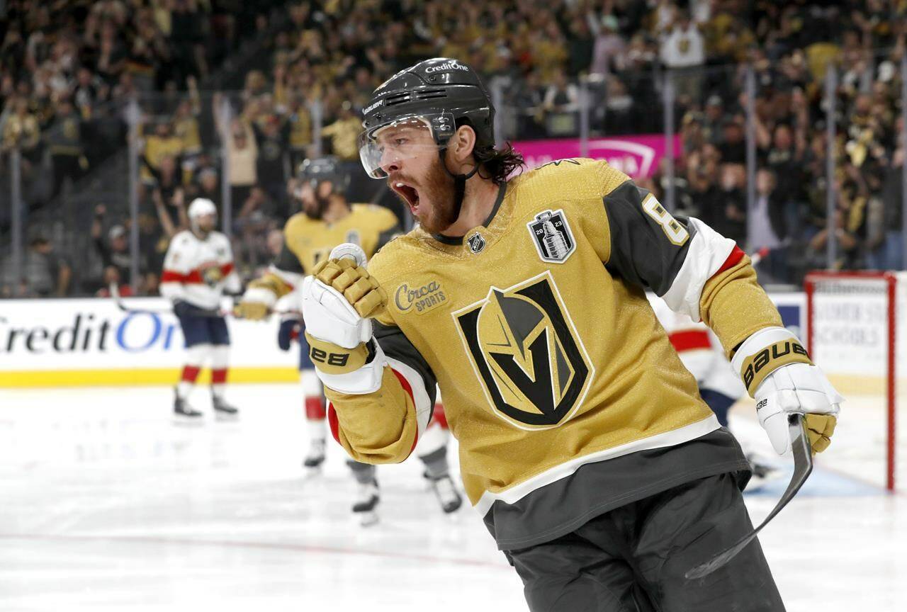 Vegas Golden Knights win first Stanley Cup in young franchise's history  after defeating Florida Panthers