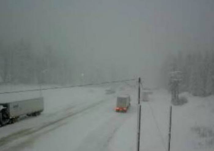 98214goldenstarsnowinrogerspass