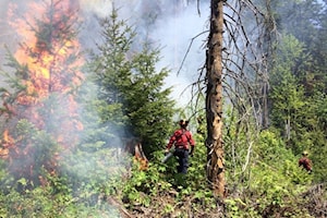 Here's what wildfires have burned so far near Revelstoke, Nakusp, Golden