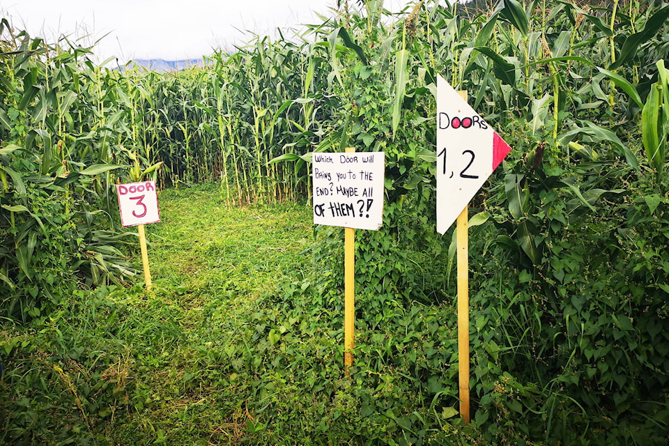 18537125_web1_190919-GOS-corn-maze-web