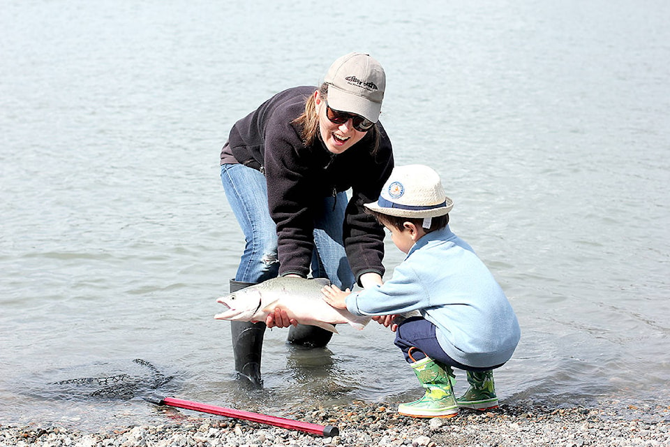 24725320_web1_210401-LAT-FishingLicences-fishing2_1