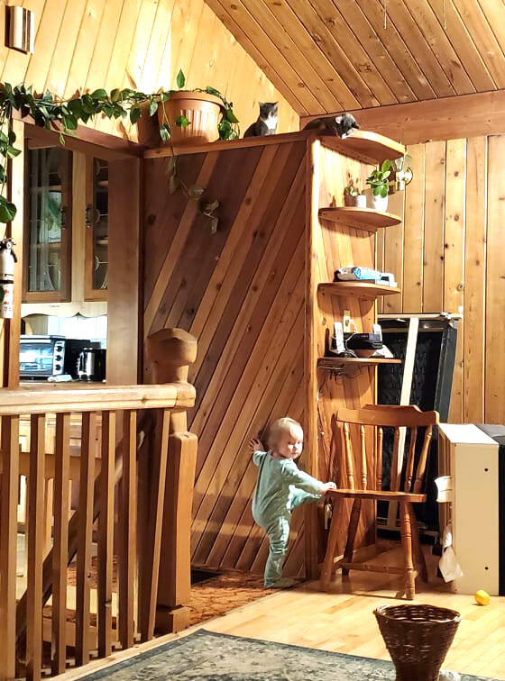 Cadence explores the new house. (Submitted)