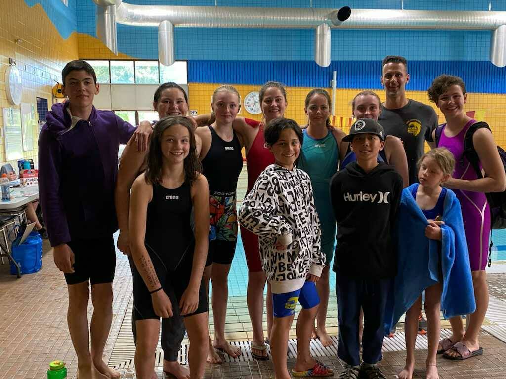 Dolphins discount swim club
