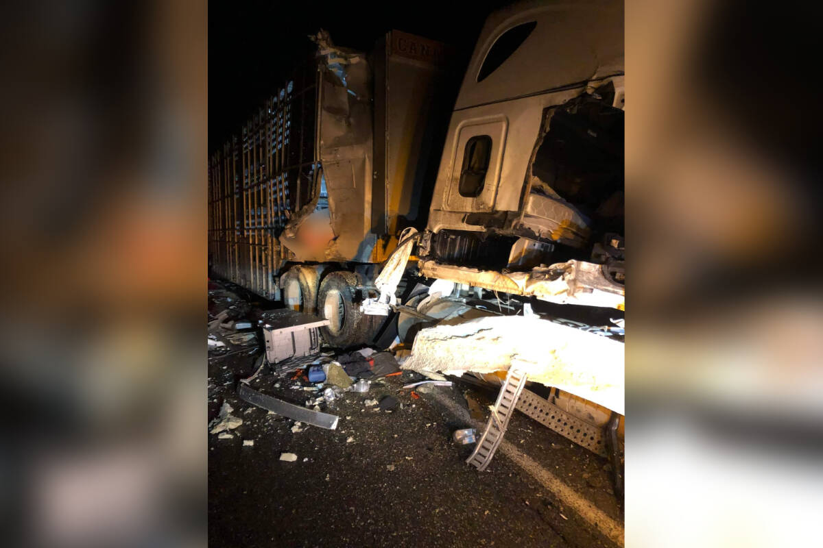 The semi truck carrying pigs received a significant amount of damage in the incident on Jan. 16. (Skilled Truckers Canada Facebook)