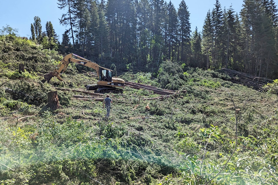 32983358_web1_230614-SAA-trees-felled-25th-st-NE