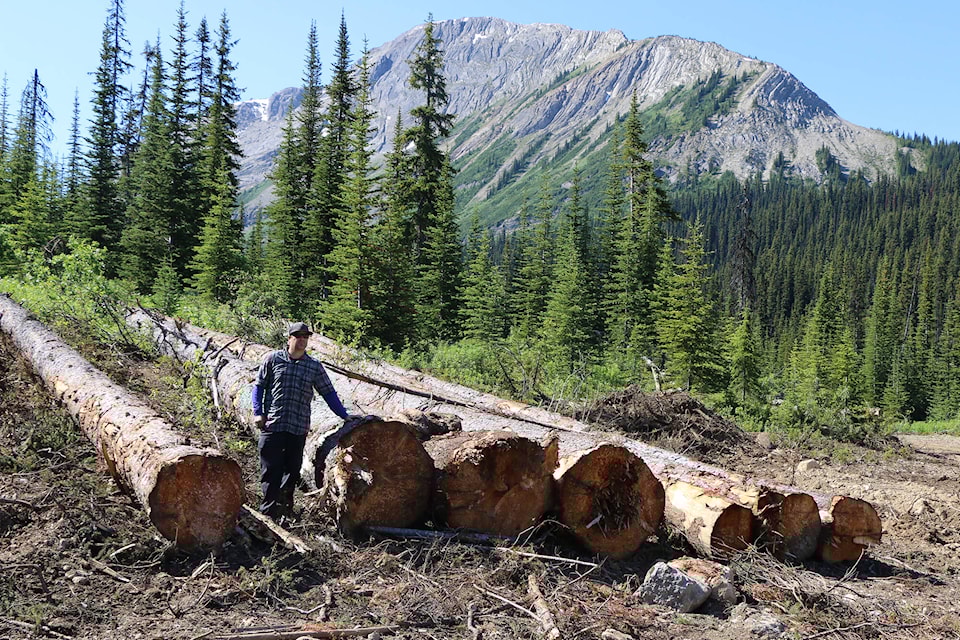 33390524_web1_200709-GOS-logging-film_1