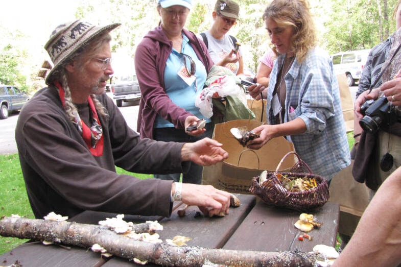33799294_web1_230907-EVN-fungi-fest