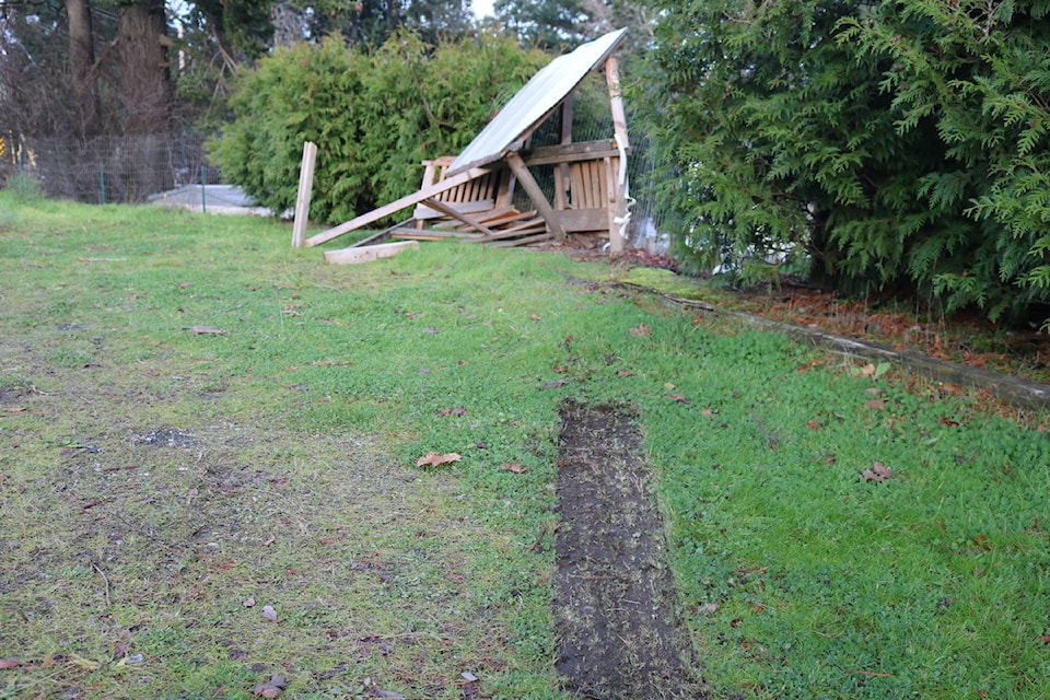 241210colwoodfoodsurplusstanddestroyed
