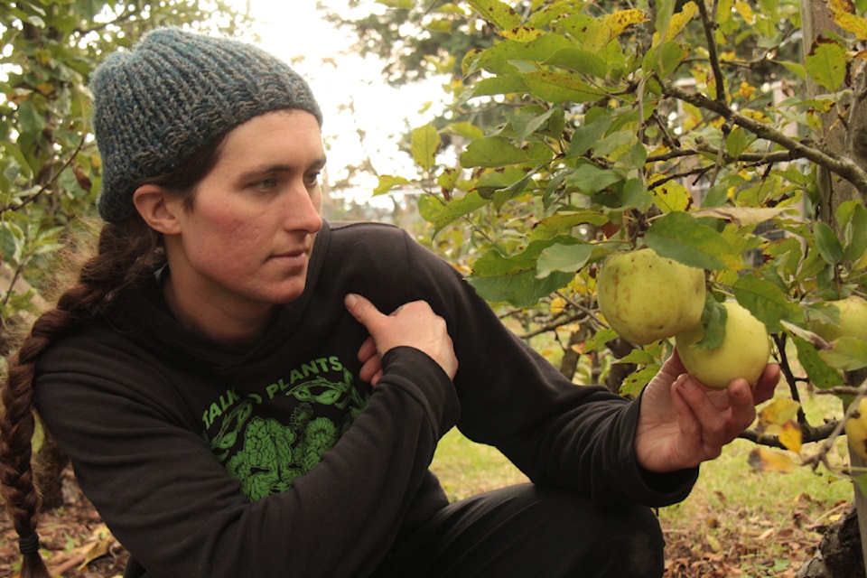 Fall in Welland Community Orchard marks the final harvest of the year for coordinator River Stevens. 