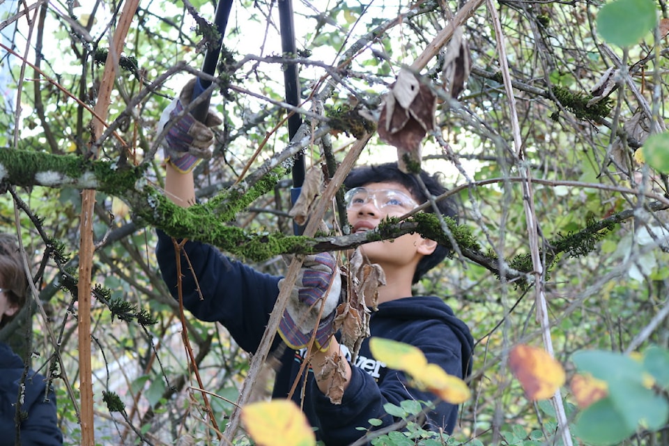 13-year-old Vian Bermillo from Spencer Middle School helps remove invasive plant species from a nearby forested area on school grounds.