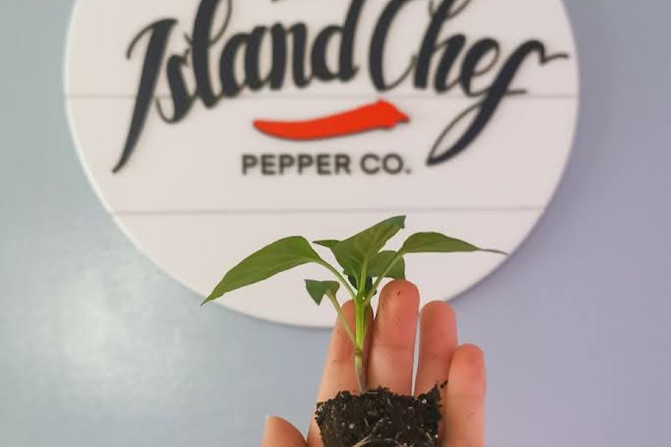 What started at the farmers market is now in 150-plus locations and 100 Vancouver Island restaurants.