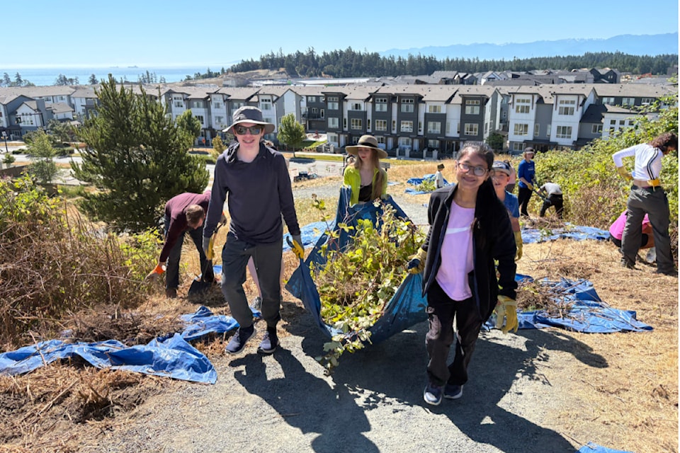 Volunteers remove invasive blackberry at Longworth Trail, Colwood on July 13, 2025.