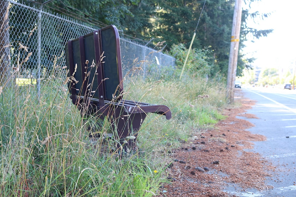 A bus stop bench on Goldstream Avenue sits within the overgrowth, brown pine needles gathered nearby.