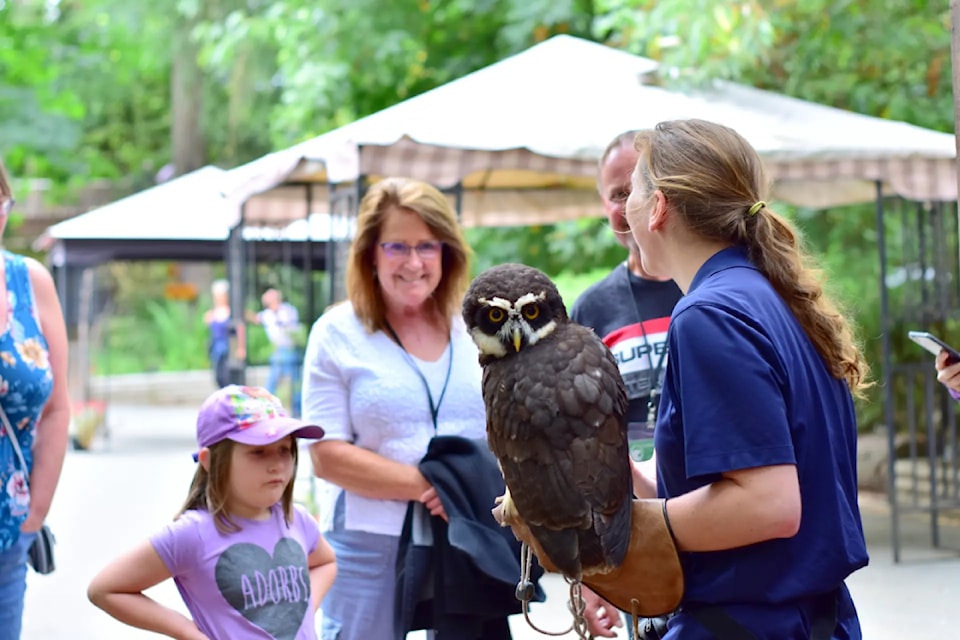 A local favourite, the Raptors are back Wednesday through to Sunday with an interactive educational display at the Tower Plaza.