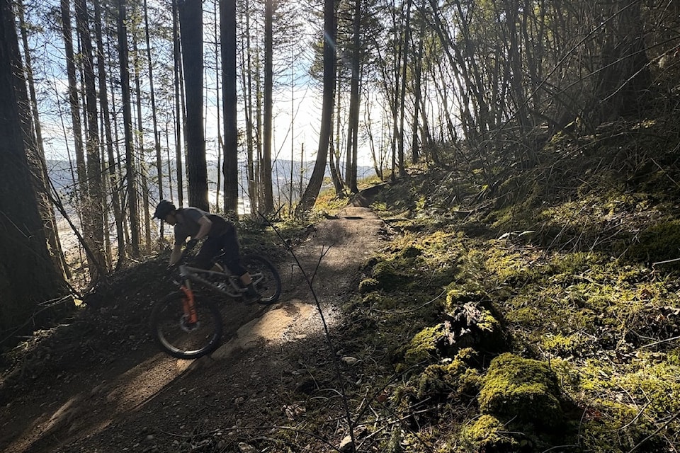 250303newlangfordbiketrail