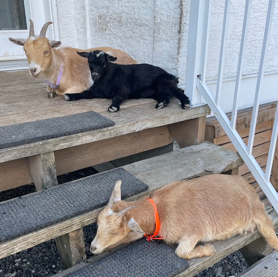 250513hounaidabellasfargoats4