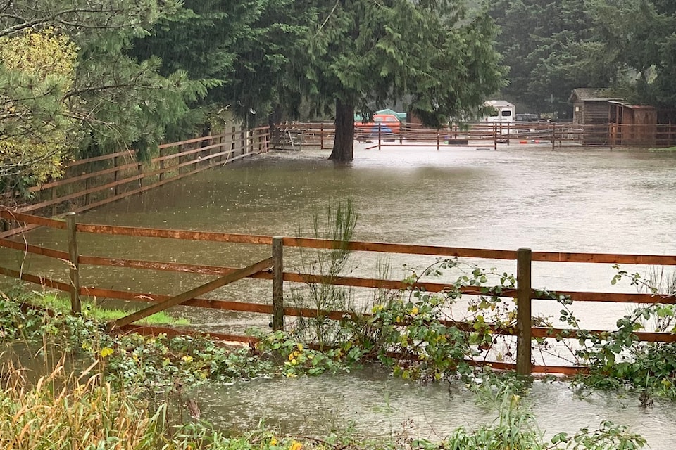 250528bilstoncreekflood2