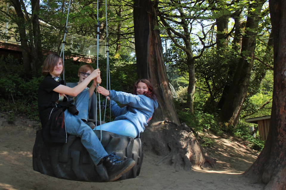 Link, left, Dagen and Isla take a turn on the popular tire swing. 