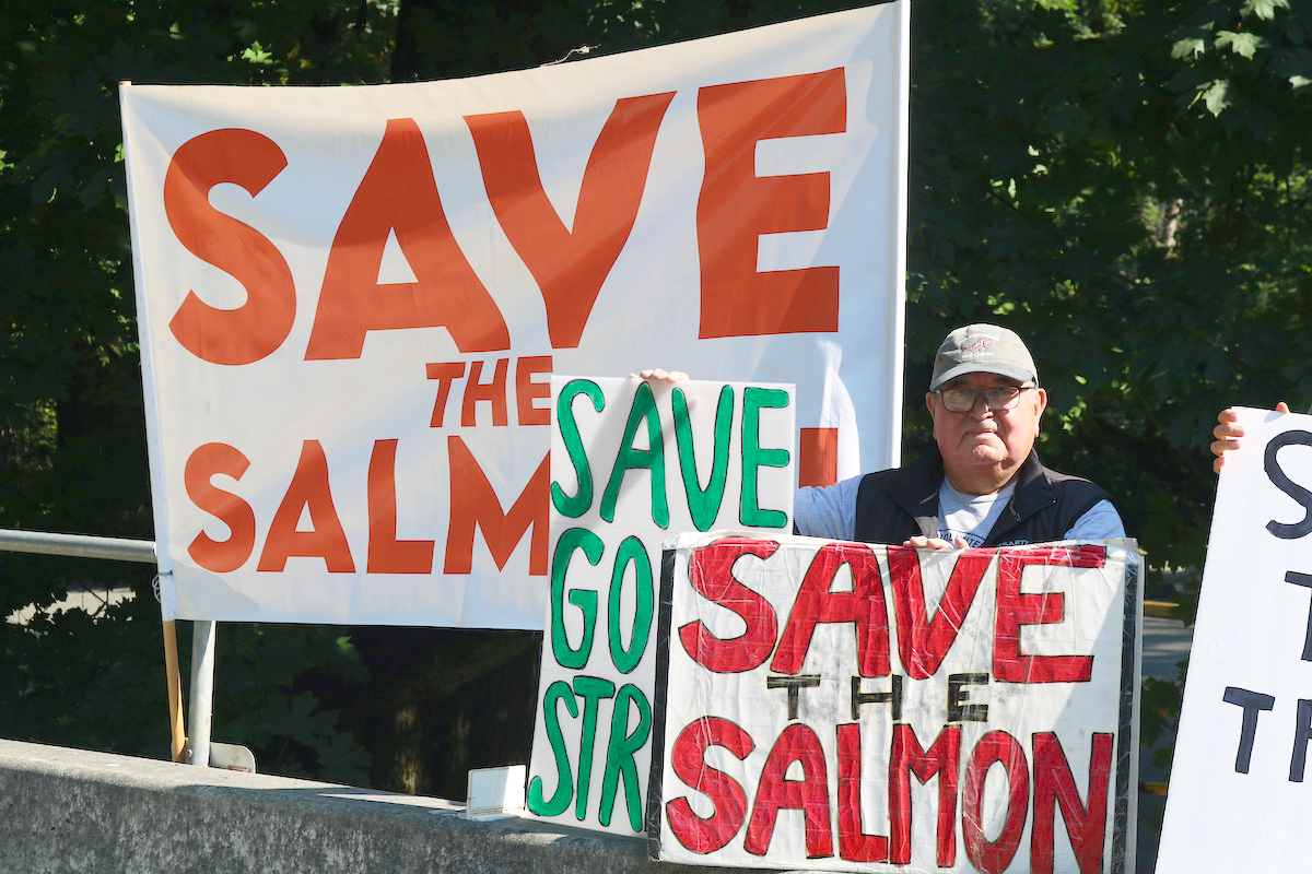 Weekly protest aims to protect Goldstream salmon from Island Highway widening