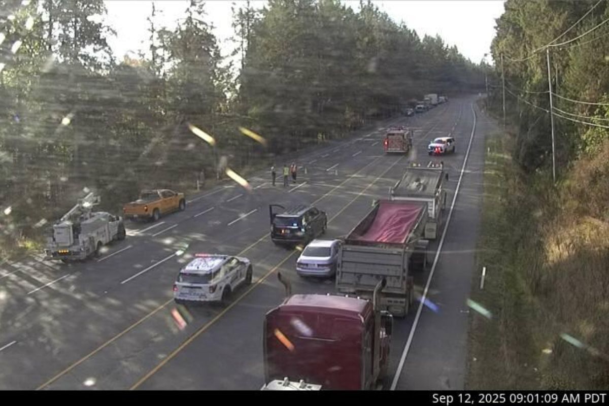 UPDATE: Malahat reopens following downed power line on Friday morning