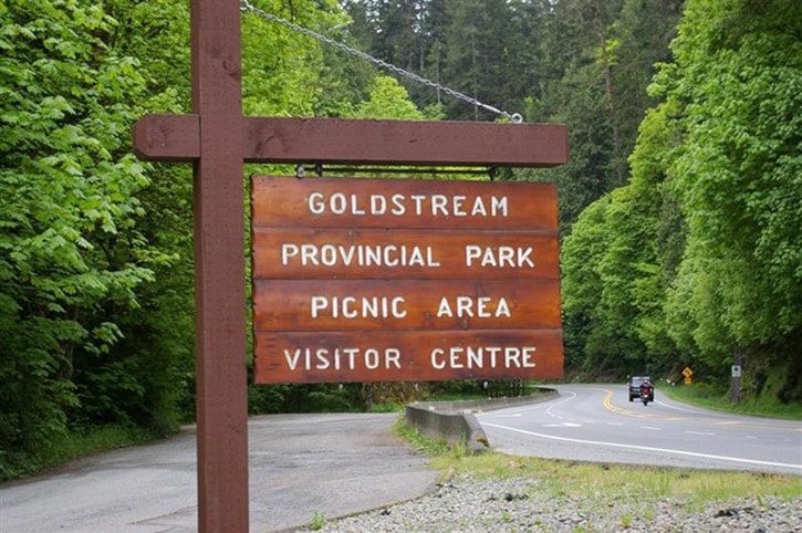 59946goldstreamgoldstream1