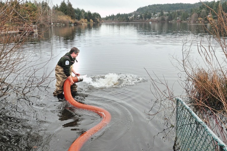 10203goldstreamGlenLakeFish1PMar1611