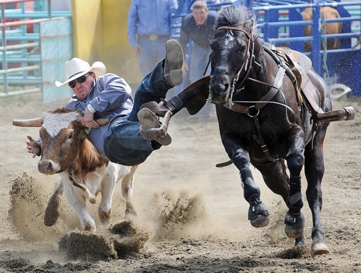 Luxton Rodeo