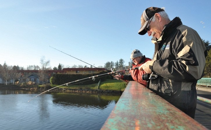 Herring fishermen on the Craigflower Bridge