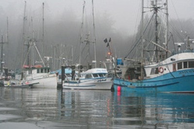 photocredit: Andrei Fedorov
sooke harbour