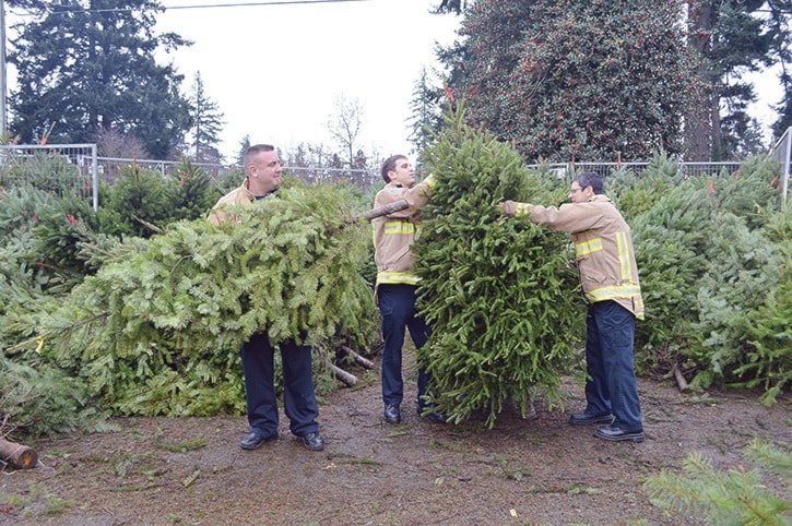 63976goldstreamGNG-ChristmasTreesafetyPDEc1714
