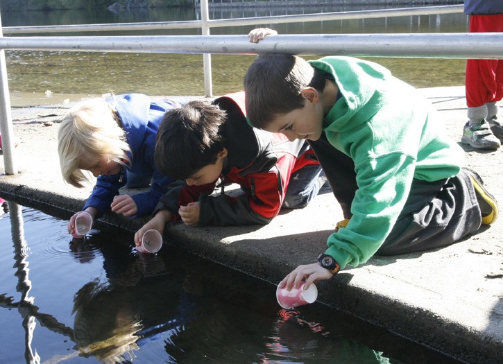 94500goldstreamThetisRelease