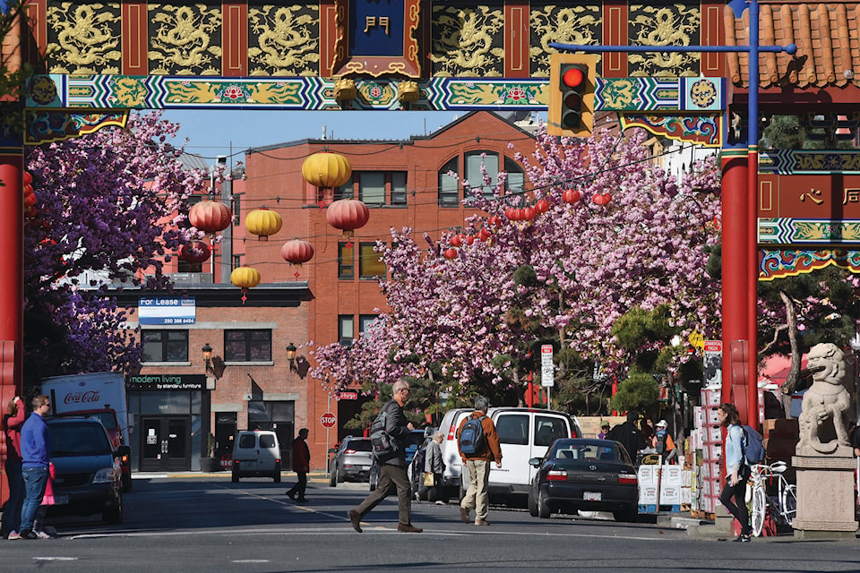 14879012_web1_VN-Chinatown-Cherry-Blossoms-SA-P-Apr1316