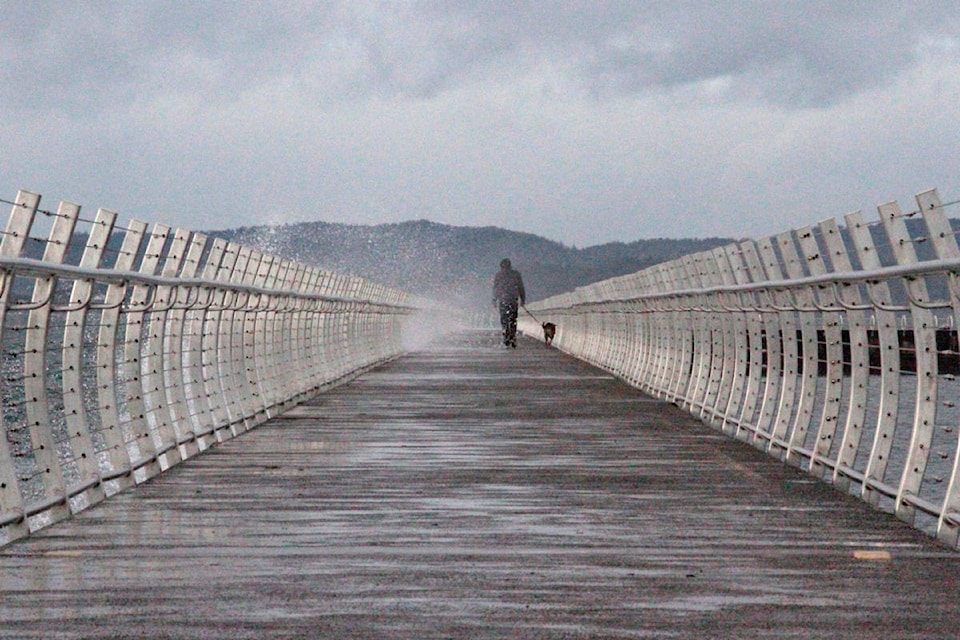 A man walks his dog along the Ogden Point walk way during a wind warning for Vancouver Island. (Keili Bartlett/News staff)