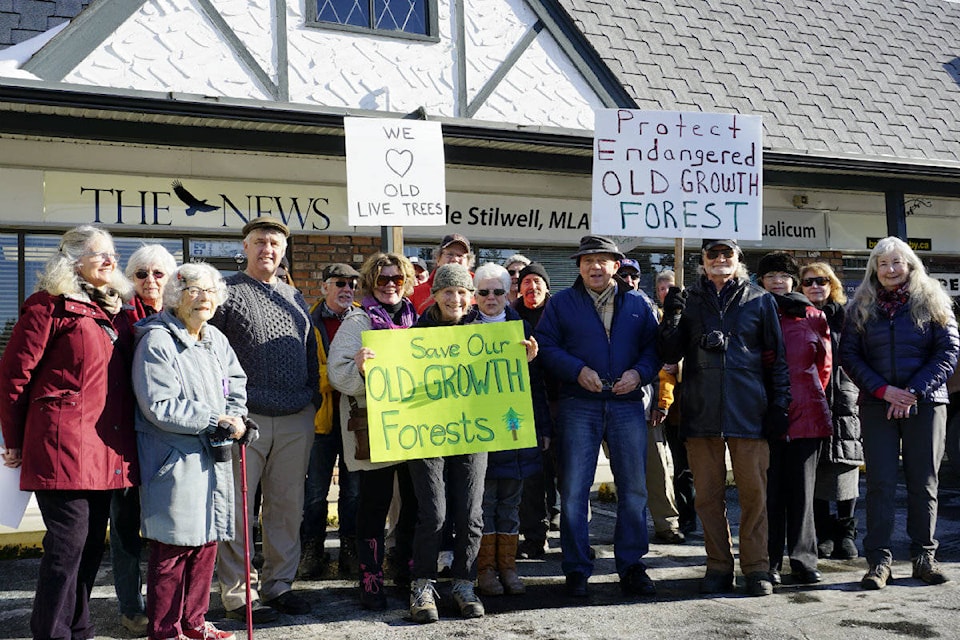 15465997_web1_old-growth-protestors