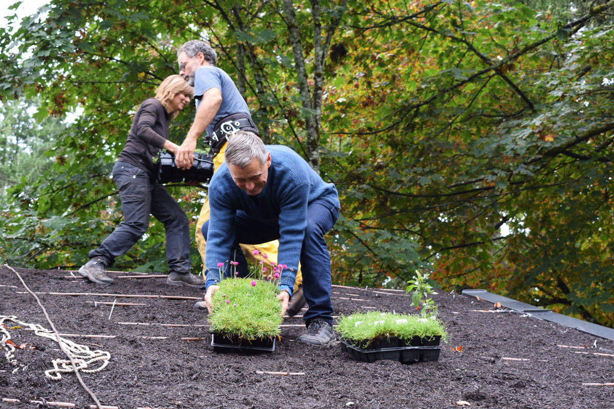 20249321_web1_190913-SNE-MAYOR-LIVING-ROOF-2