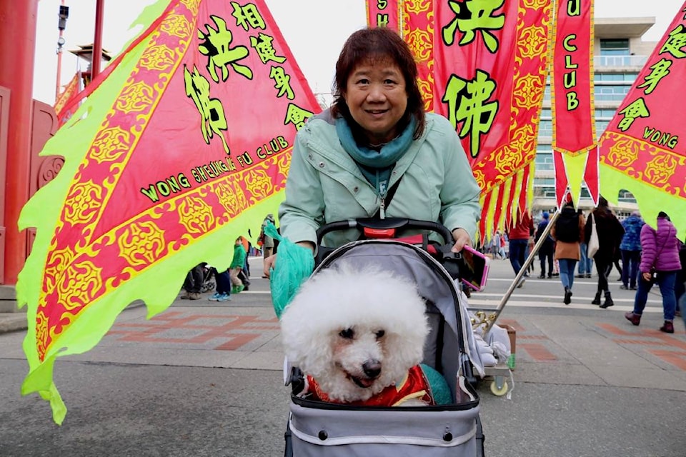 Janet Cheang brought her dog Suzie to the Chinese New Year celebration in Chinatown. Cheang buys Suzie a new outfit to wear during every Chinese New Year. (Aaron Guillen/News Staff)