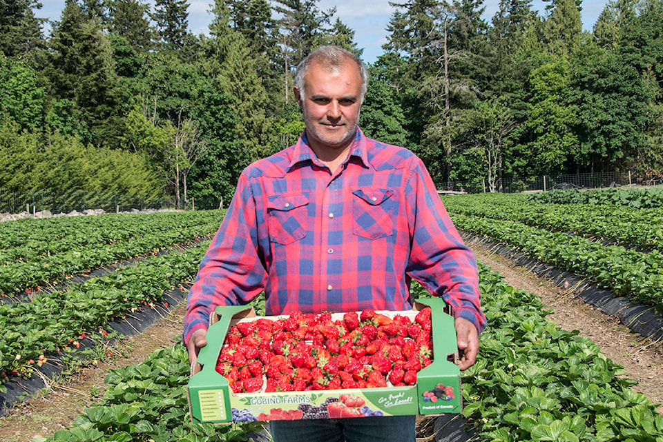 21662323_web1_200526-PNR-Foreign-Workers-Farming_1