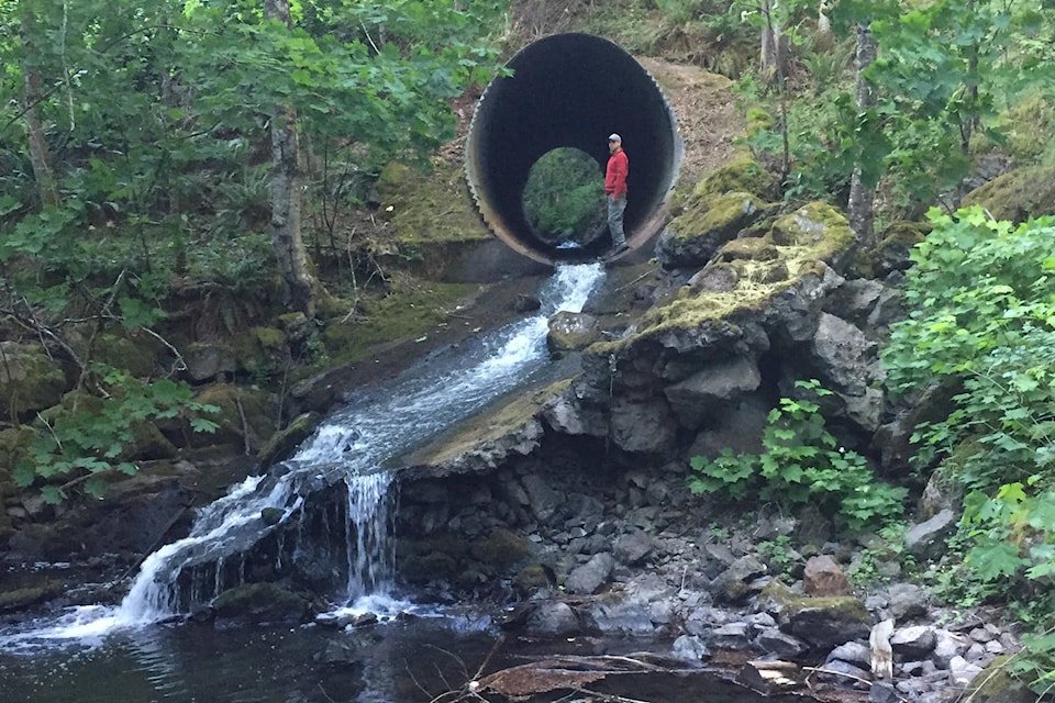 21864691_web1_200304-GNG-MillstreamFishLadder_1