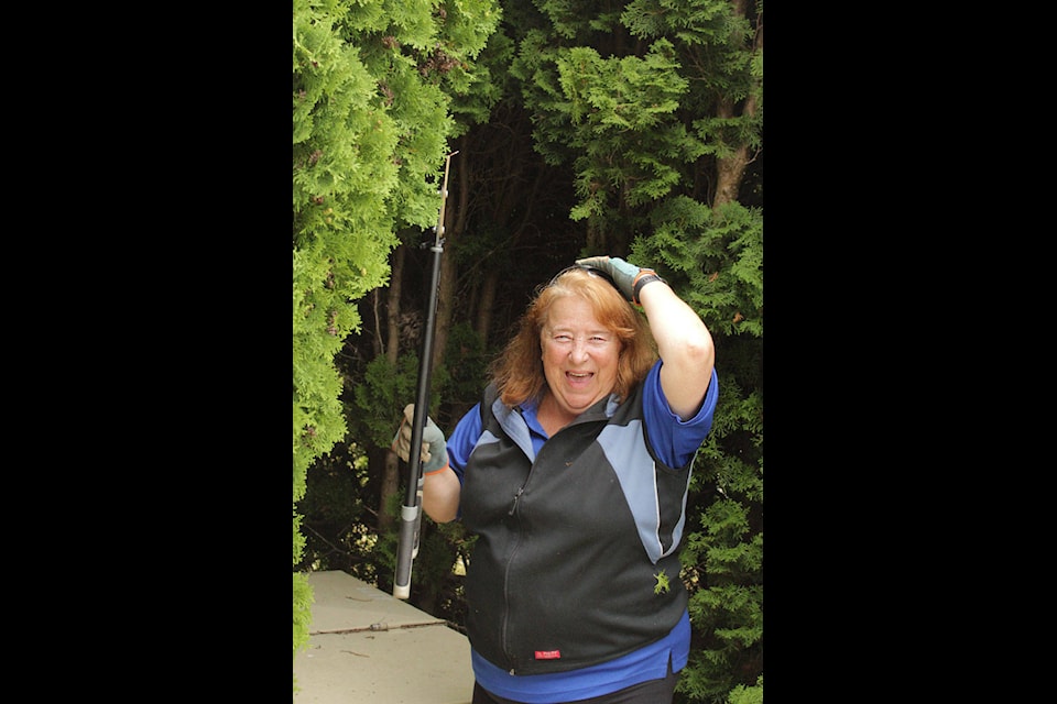 10:18 a.m. Saanich Coun. Judy Brownoff laughs after a broken branch she cut down from a tree in front of her home swiped her hair on the way down. (Devon Bidal/News Staff)