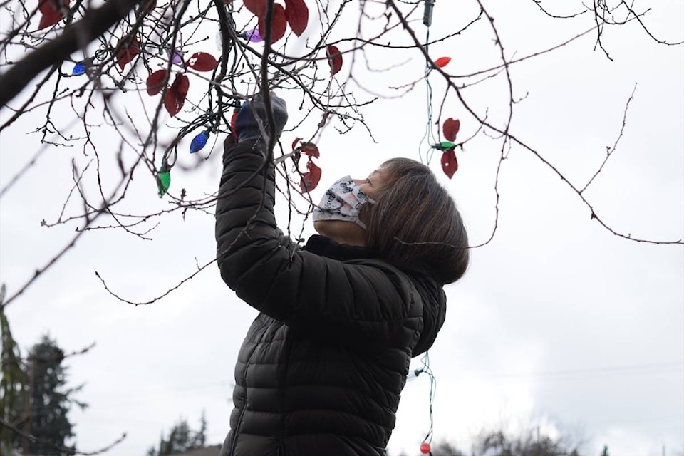 23619814_web1_201202-AVN-Hospice-Light-Up-alberni_2