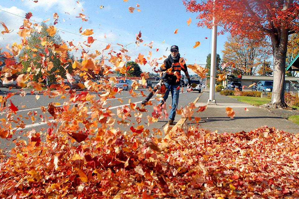 27310712_web1_tsr-leaf-blower-pdn-201023