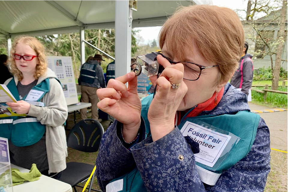 Jerri Wilkins, a member of the Victoria Palaeontology Society, inspects an artifact found on a B.C. beach by a family attending the event. (Megan Atkins-Baker/News Staff)