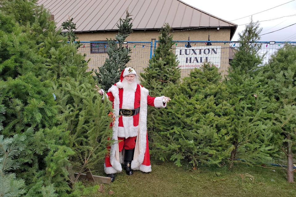 31029939_web1_221511-VNE-XMAS-TREE-SHORTAGE-santa_1