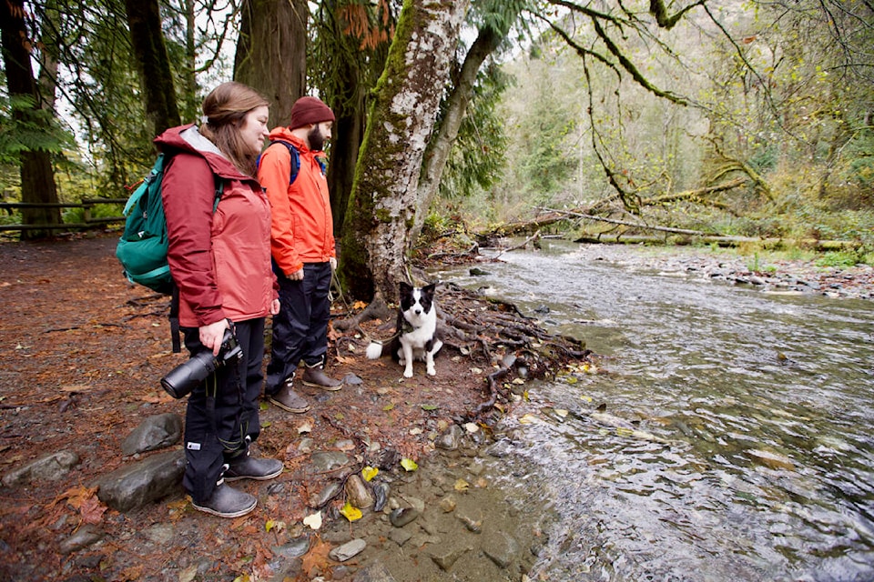 Laura Myers, Taylor Trapp, and their pup Sitka take in one of the final days of the 2022 salmon run in Goldstream Provincial Park, during a visit from Thunder Bay on Nov. 25. (Justin Samanski-Langille/News Staff)