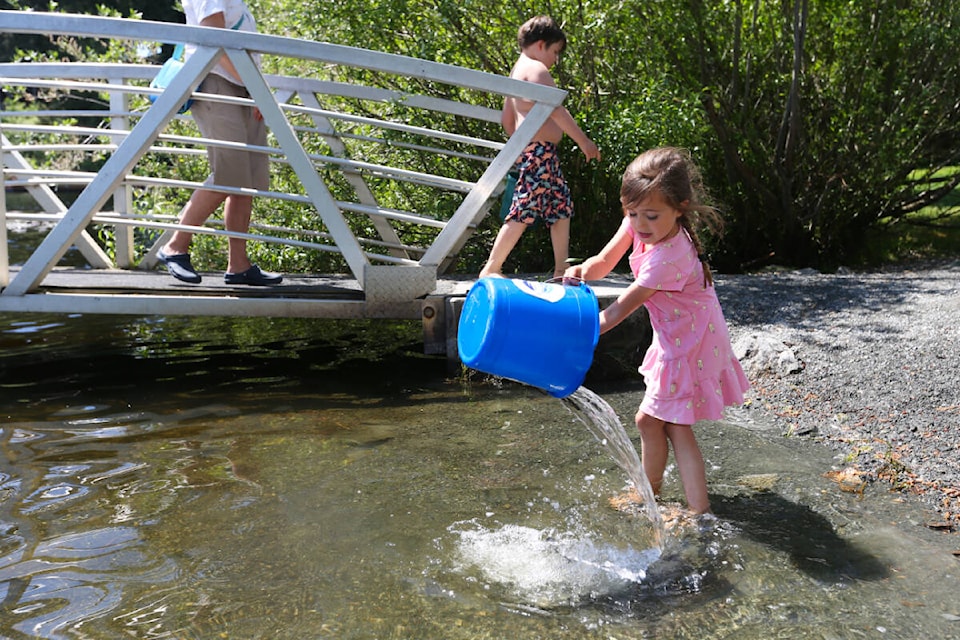 Emmy Smorodin Stutt, 5, releases rainbow trout into Glen Lake in Langford Friday, May 19, as part of a restocking effort by the Freshwater Fisheries Society of B.C. (Justin Samanski-Langille/News Staff)