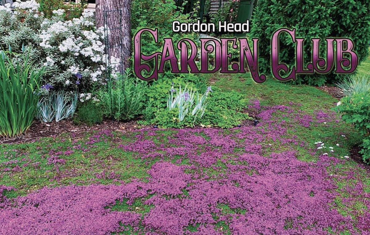 Gordon Head Garden Club connects with community for 70 years